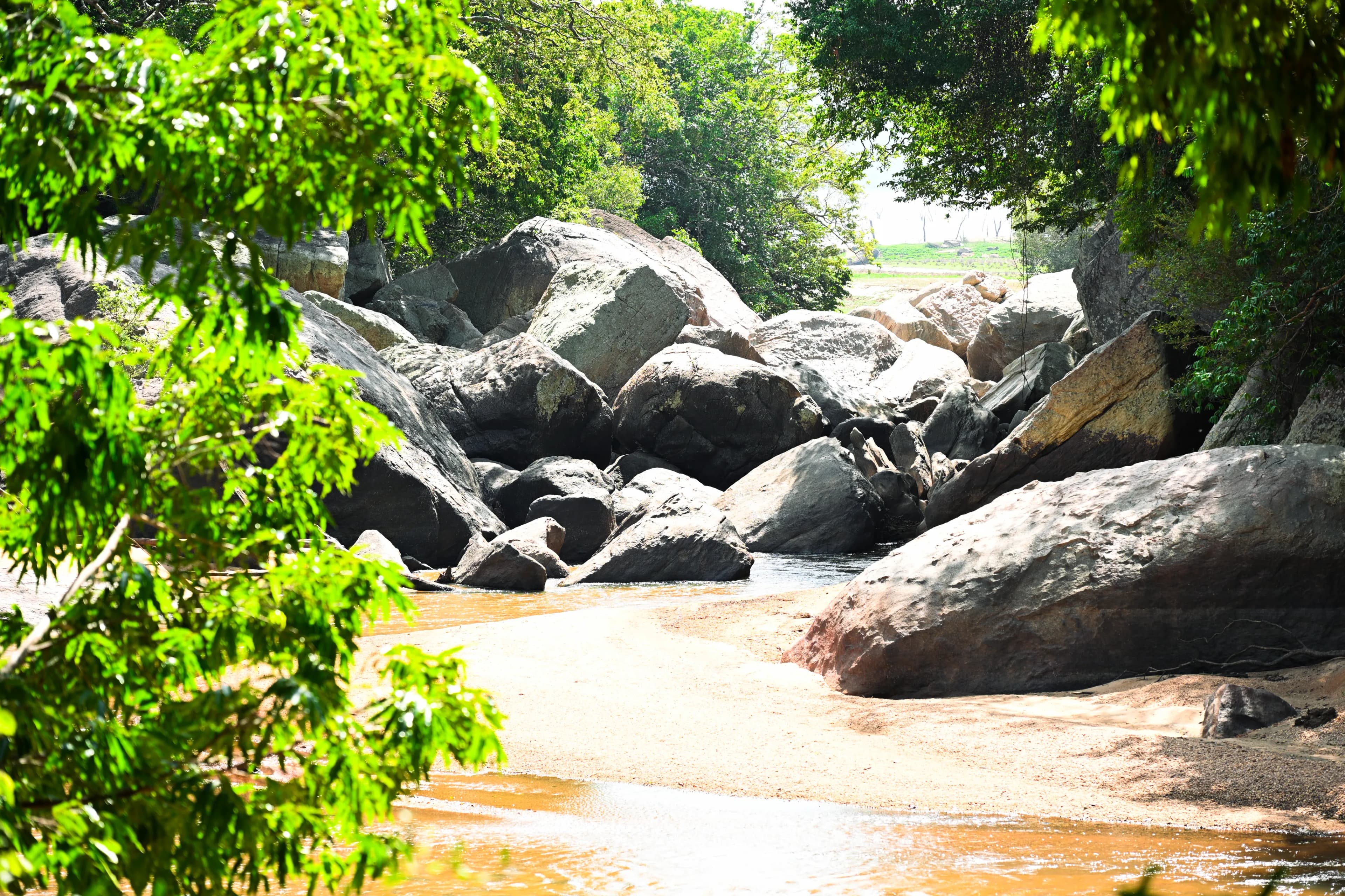 Small nature image