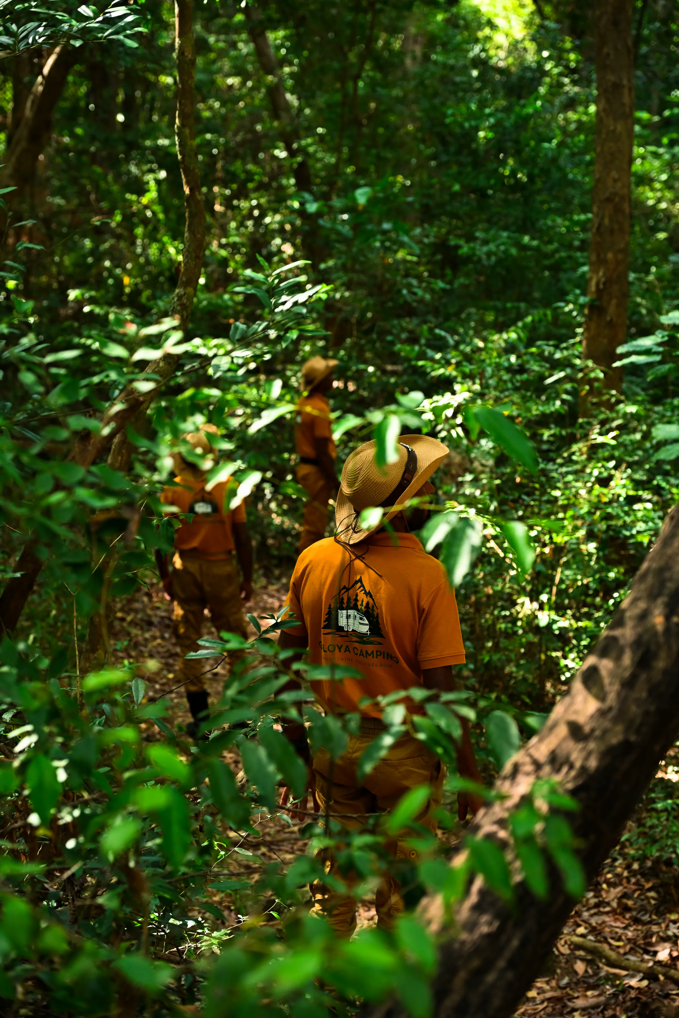 Off-Trekking in
the Jungle