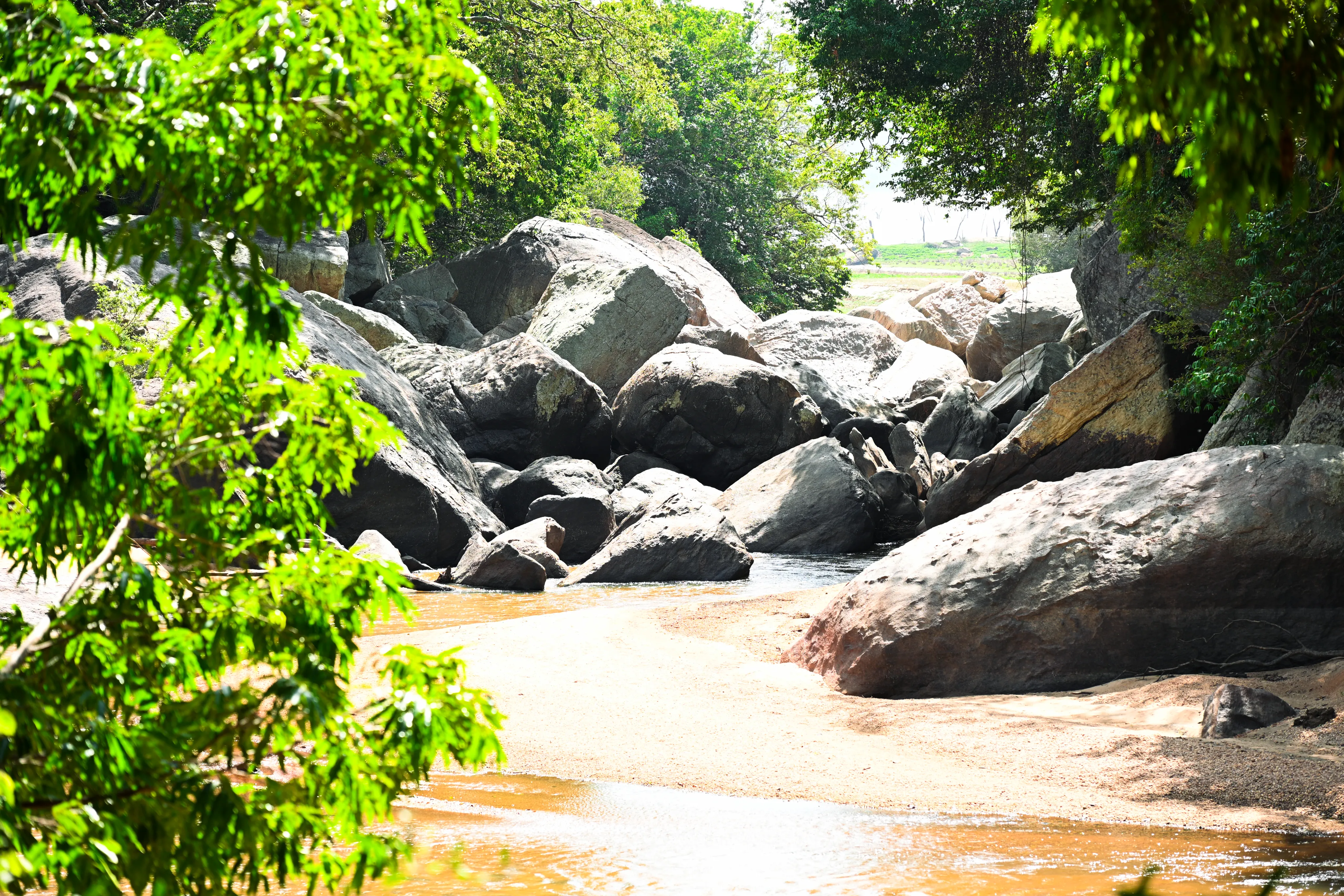 Small nature image